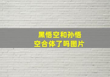 黑悟空和孙悟空合体了吗图片