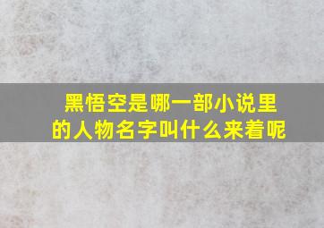 黑悟空是哪一部小说里的人物名字叫什么来着呢