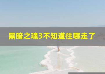 黑暗之魂3不知道往哪走了