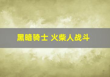 黑暗骑士 火柴人战斗