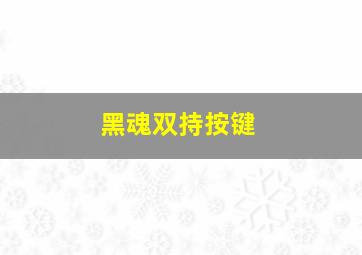 黑魂双持按键