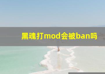 黑魂打mod会被ban吗