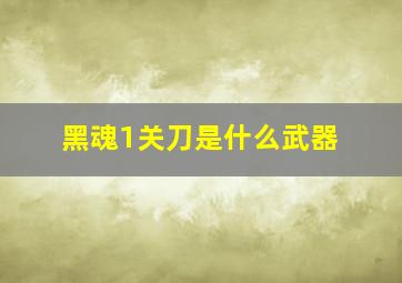 黑魂1关刀是什么武器