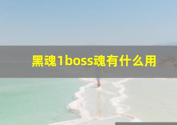 黑魂1boss魂有什么用