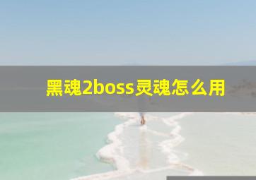 黑魂2boss灵魂怎么用