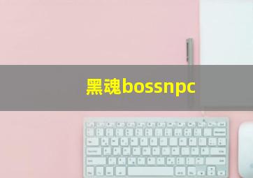 黑魂bossnpc