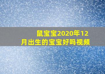 鼠宝宝2020年12月出生的宝宝好吗视频