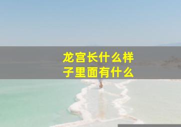 龙宫长什么样子里面有什么