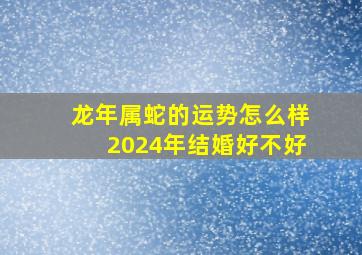 龙年属蛇的运势怎么样2024年结婚好不好