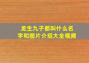 龙生九子都叫什么名字和图片介绍大全视频