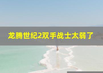 龙腾世纪2双手战士太弱了