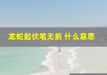 龙蛇起伏笔无前 什么意思