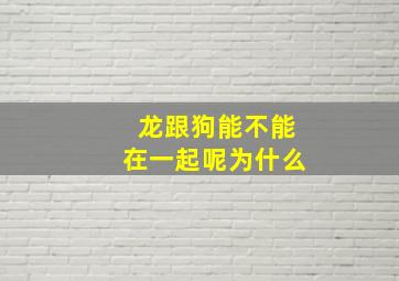 龙跟狗能不能在一起呢为什么