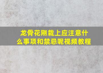 龙骨花刚栽上应注意什么事项和禁忌呢视频教程