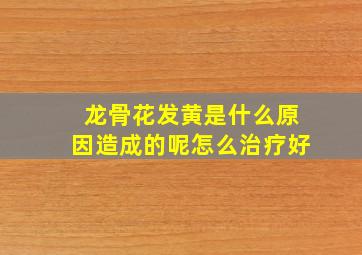 龙骨花发黄是什么原因造成的呢怎么治疗好