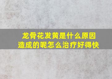 龙骨花发黄是什么原因造成的呢怎么治疗好得快