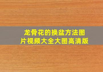 龙骨花的换盆方法图片视频大全大图高清版