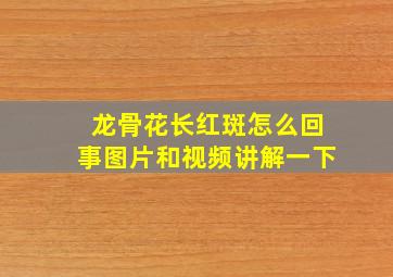 龙骨花长红斑怎么回事图片和视频讲解一下