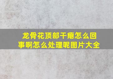 龙骨花顶部干瘪怎么回事啊怎么处理呢图片大全