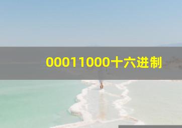 00011000十六进制