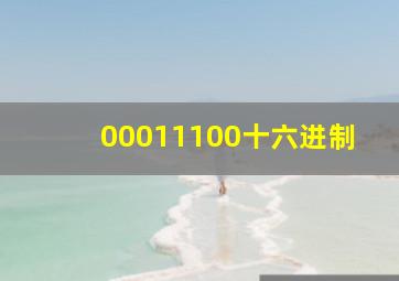 00011100十六进制