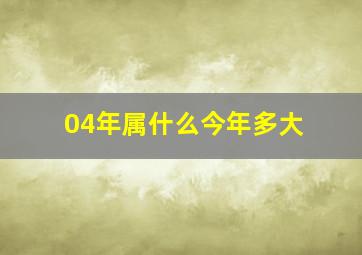 04年属什么今年多大