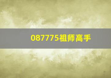 087775祖师高手