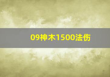 09神木1500法伤