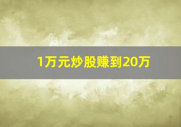 1万元炒股赚到20万