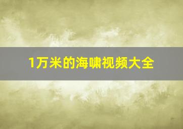 1万米的海啸视频大全