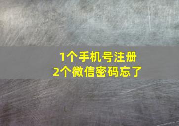 1个手机号注册2个微信密码忘了