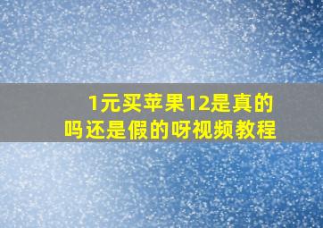 1元买苹果12是真的吗还是假的呀视频教程