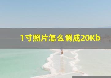 1寸照片怎么调成20Kb