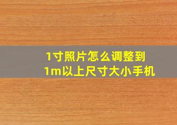 1寸照片怎么调整到1m以上尺寸大小手机