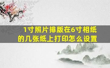 1寸照片排版在6寸相纸的几张纸上打印怎么设置