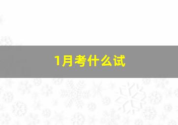 1月考什么试