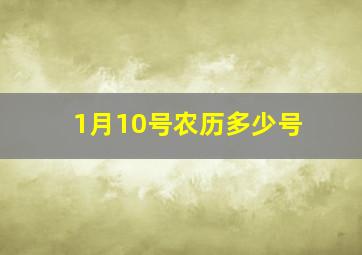 1月10号农历多少号