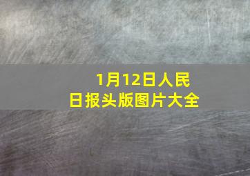 1月12日人民日报头版图片大全