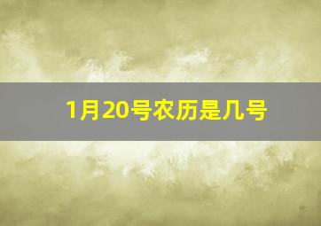 1月20号农历是几号