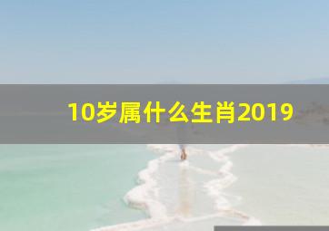 10岁属什么生肖2019