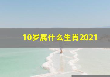 10岁属什么生肖2021