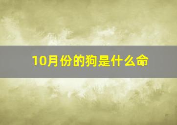 10月份的狗是什么命