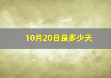 10月20日是多少天