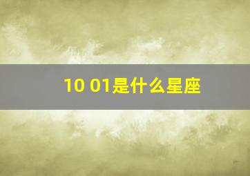 10 01是什么星座