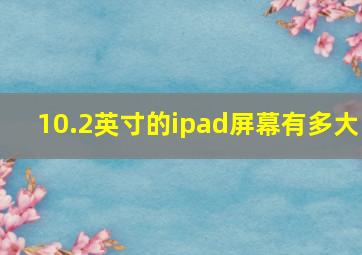 10.2英寸的ipad屏幕有多大