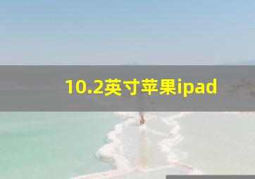 10.2英寸苹果ipad