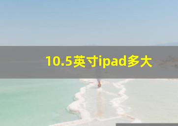 10.5英寸ipad多大