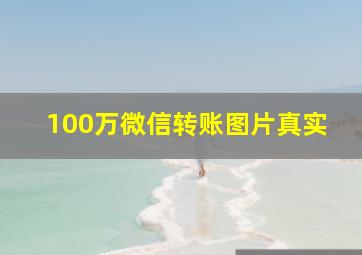 100万微信转账图片真实