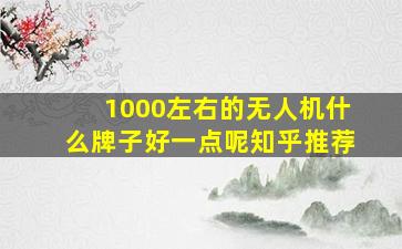 1000左右的无人机什么牌子好一点呢知乎推荐