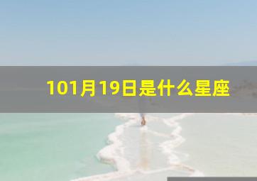 101月19日是什么星座